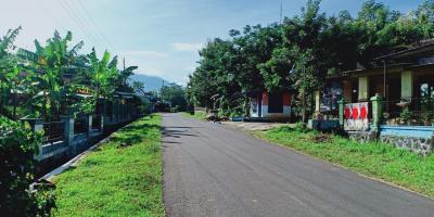 Tanah Kebun Jati Datar 1 Hektar Kerjo Karanganyar