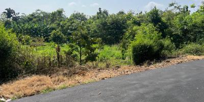 Tanah Kebun Buah 2020m² Kedawung Sragen
