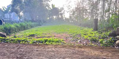 Tanah 175 Juta Lingkungan Wisata Kampung Karet Ngargoyoso 