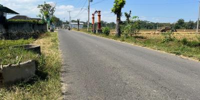 Dijual Tanah Sawah 700m 175Jt Kerjo Karanganyar 