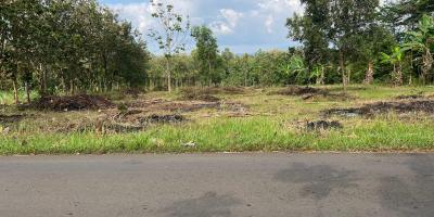 Tanah Datar Strategis 3000m² Zona Kuning Karanganyar Tanah Datar Strategis 3000m² Zona Kuning Karanganyar