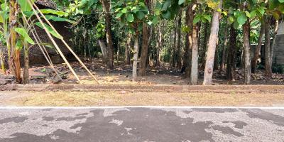 Tanah Datar 350 Juta Cocok Untuk Hunian Sragen Tanah Datar 350 Juta Cocok Untuk Hunian Sragen