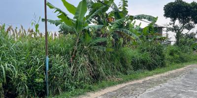 Tanah 3550m² Cocok Untuk Kebun Buah Karanganyar 