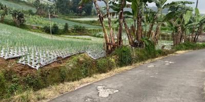 Tanah 480m² View Tanpa Halang Cocok Untuk Villa Kemuning 