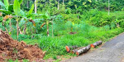 Tanah 1690m² Dekat Aliran Sungai Ngargoyoso  