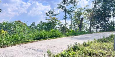 Tanah Murah 9803m 200rb/m Utara Candi Cetho Karanganyar 