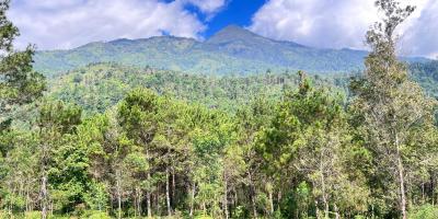 Tanah 4 Hektar Siap Bangun Wahana Wisata Karanganyar Tanah 4 Hektar Siap Bangun Wahana Wisata Karanganyar