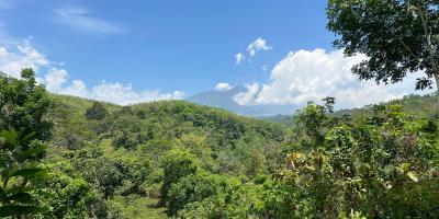 Tanah 82rb/m View Gunung Lawu Karanganyar Tanah 82rb/m View Gunung Lawu Karanganyar