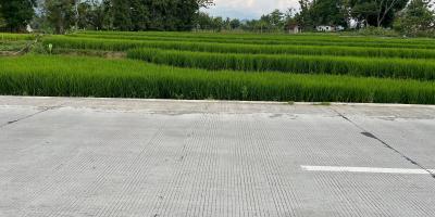 Tanah Subur 2906m Matesih Karanganyar Tanah Subur 2906m Matesih Karanganyar