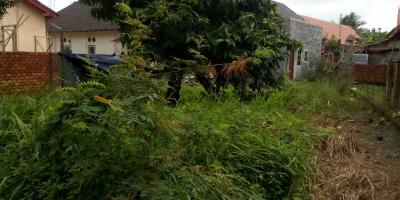 Tanah dan Rumah lokasi strategis di pusat kota Palembang Tanah dan Rumah lokasi strategis di pusat kota Palembang
