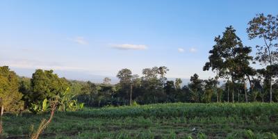 TANAH NGANTONG DI NGAJUM MALANG SCENIC VIEW TANAH NGANTONG DI NGAJUM MALANG SCENIC VIEW