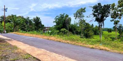 Dijual Tanah Strategis 85 Juta Kerjo Karanganyar Dijual Tanah Strategis 85 Juta Kerjo Karanganyar