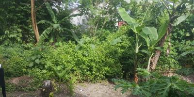 Tanah Jogja, Dekat Sindu Kusuma Edupark (SKE) Tanah Jogja, Dekat Sindu Kusuma Edupark (SKE)