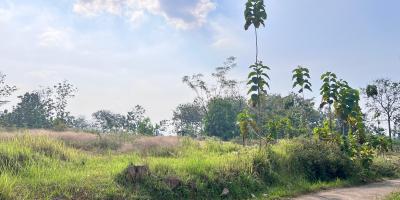 Tanah 8200m 200rb/m Kerjo Karanganyar Utara 