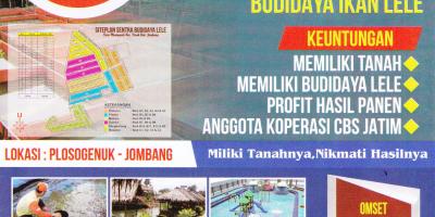 Beli Properti Dibayar Lele -    Miliki Tanahnya Dan Nikmati Hasilnya