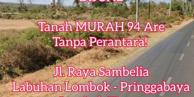 Dijual cepat harga murah tanah di pringgabaya, lombok