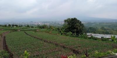 Rumah Dijual Di kota Batu