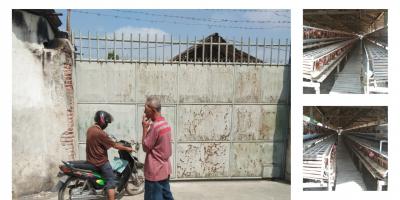 BU Mendesak, Dijual cepat kandang ayam Di Ponggok Kab. Blita BU Mendesak, Dijual cepat kandang ayam Di Ponggok Kab. Blita