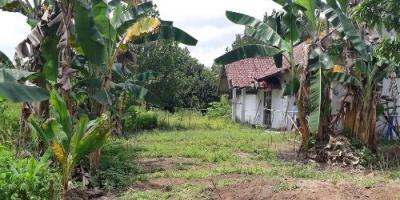 Dijual Pabrik di Lokpaikat, Tapin Dijual Pabrik di Lokpaikat, Tapin