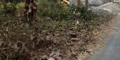 Tanah siap bangun Pengkol tanjungsari kota Blitar Tanah siap bangun Pengkol tanjungsari kota Blitar