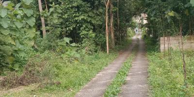 Dijual kavling tanah di sedayu, harga murah cocok untuk inves Dijual kavling tanah di sedayu, harga murah cocok untuk inves