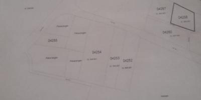 DIjual tanah harga dibawah 1jt/m lokasi sleman selatan DIjual tanah harga dibawah 1jt/m lokasi sleman selatan