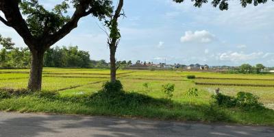 Jual Cepat Tanah Strategis Karanganyar Jawa Tengah Jual Cepat Tanah Strategis Karanganyar Jawa Tengah