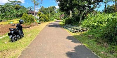 Jual Tanah Kebun Durian Karanganyar Jual Tanah Kebun Durian Karanganyar