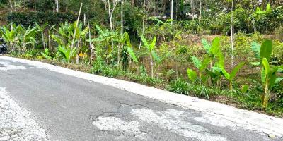 Tanah Pekarangan 2452m² Ngargoyoso karanganyar Tanah Pekarangan 2452m² Ngargoyoso karanganyar