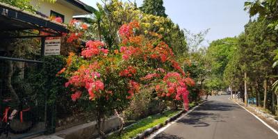 Dijual Villa SHM Bagus di Perumahan Bukit Cemara, Malang