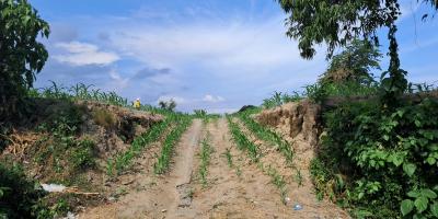 Dijual Tanah Strategis di Raya Ida Bagus Mantra Bypass, Gianyar