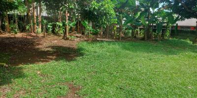Dijual Tanah Kosong di Jalan Madrasah, Depok Dijual Tanah Kosong di Jalan Madrasah, Depok