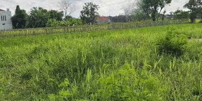 Dijual Tanah Kosong di Jalan Opak Raya, Sleman Dijual Tanah Kosong di Jalan Opak Raya, Sleman