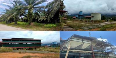 Dijual Kebun & Pabrik Kelapa Sawit, Mamuju Tengah