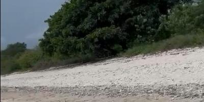 Dijual Tanah Pinggir Pantai di Bima, Sumbawa, NTB