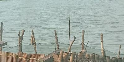 Dijual Tambak Udang Vaname & Bandeng di Dinas Perikanan, Pasuruan Dijual Tambak Udang Vaname & Bandeng di Dinas Perikanan, Pasuruan