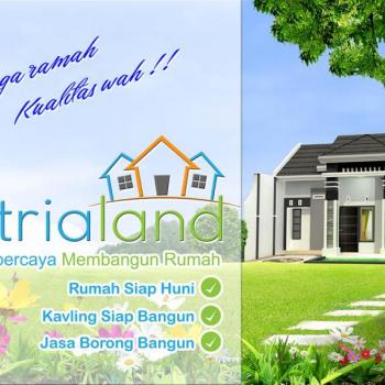 Budi Sulistyo's picture